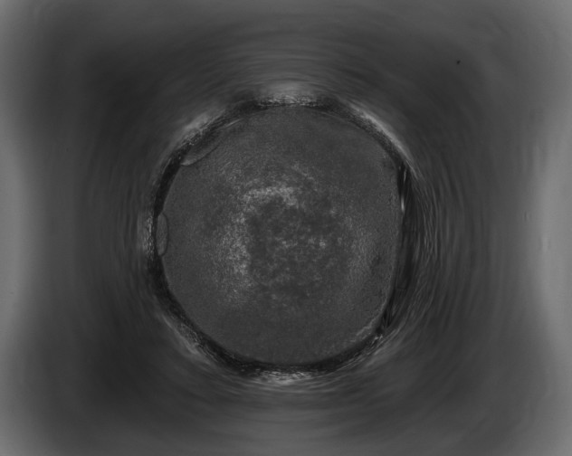 X0000085770403200703231228