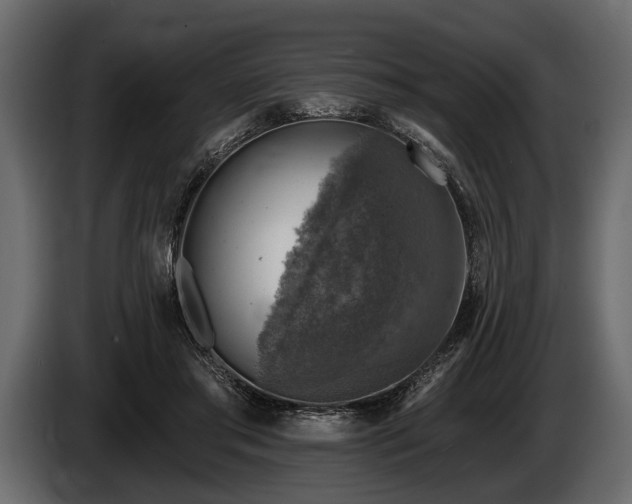 X0000085770405200703231228