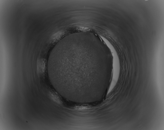 X0000085770412200703231228