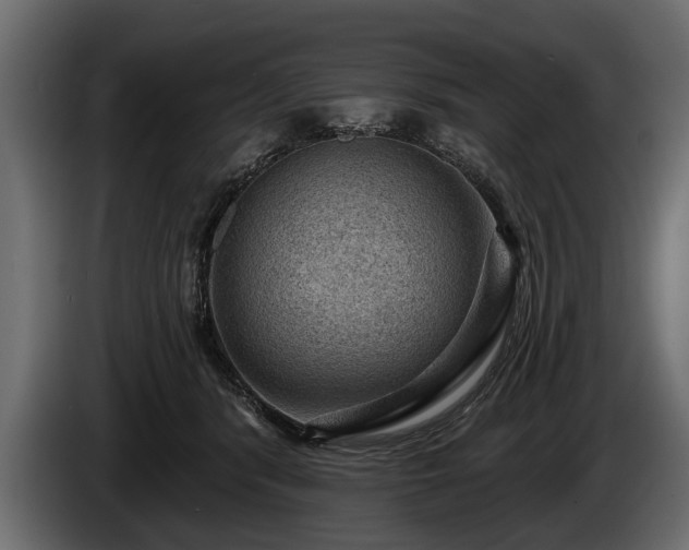 X0000085770416200703231228