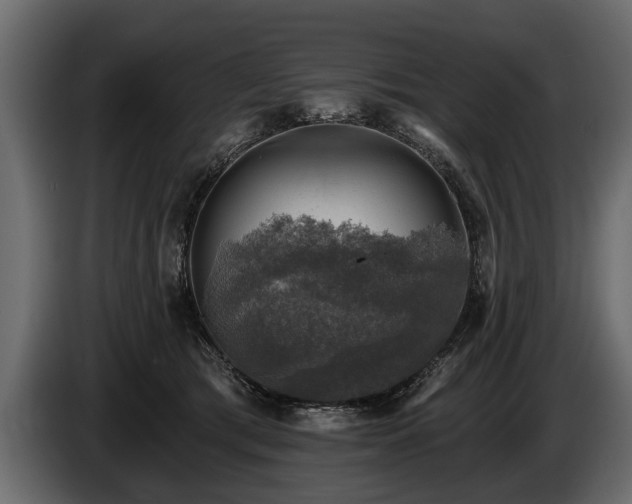 X0000085770417200703231228