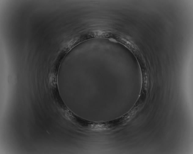 X0000085770419200703231228