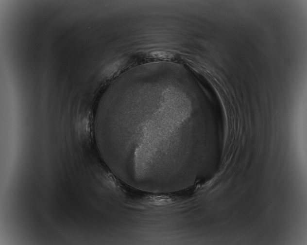 X0000085770424200703231228