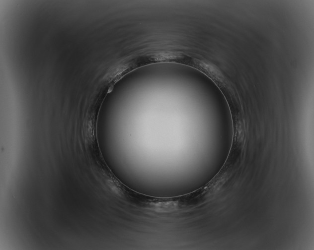 X0000085770426200703231227