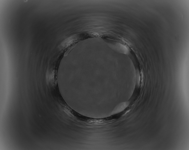 X0000085770428200703231227