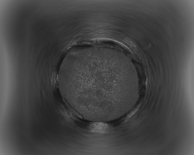 X0000085770429200703231227