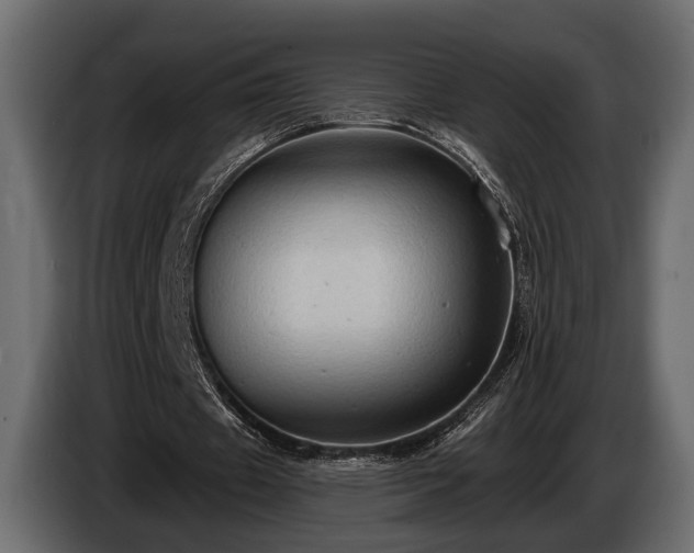 X0000085770433200703231227