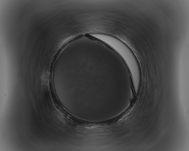 X0000085770434200703231227