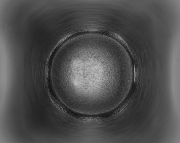 X0000085770435200703231227