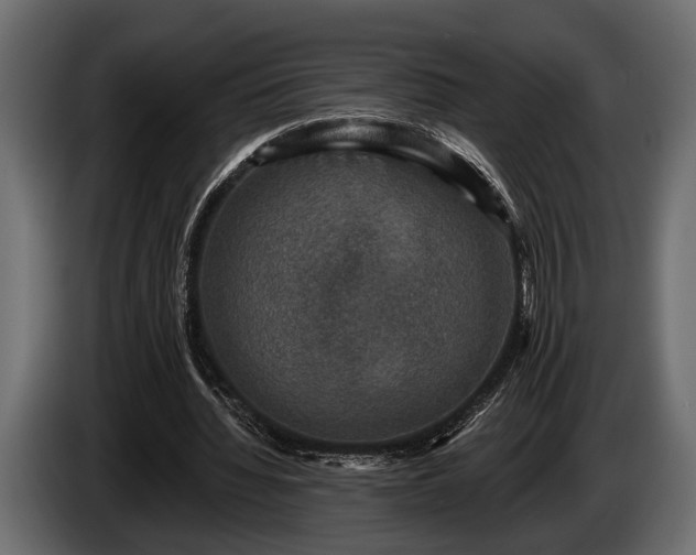 X0000085770436200703231227