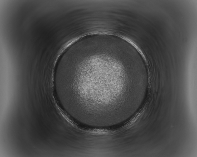 X0000085770437200703231227