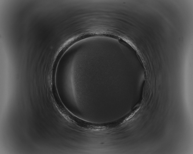 X0000085770438200703231227