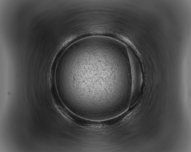 X0000085770439200703231227