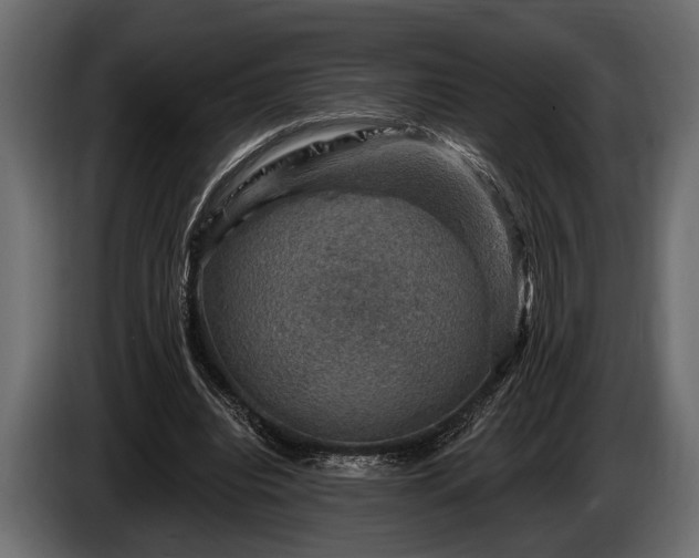 X0000085770440200703231227