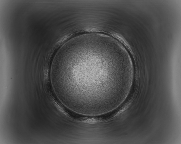 X0000085770441200703231227