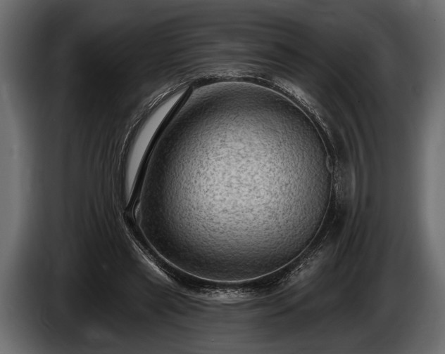 X0000085770445200703231227