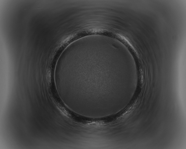 X0000085770447200703231227