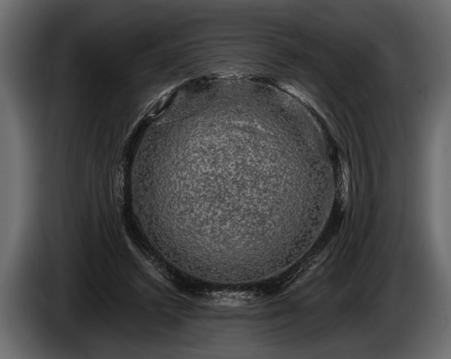 X0000085770448200703231227