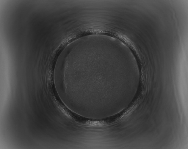 X0000085770449200703231227