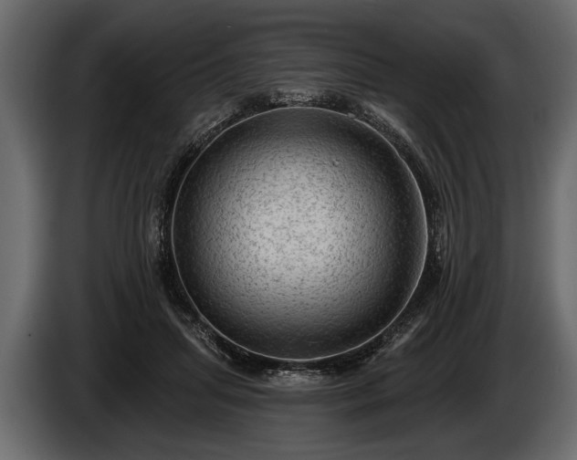 X0000085770455200703231227