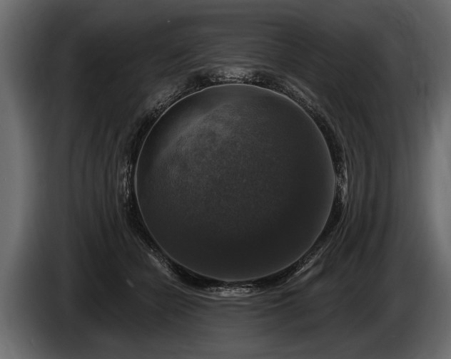 X0000085770462200703231227