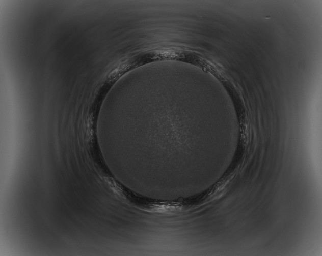 X0000085770466200703231227