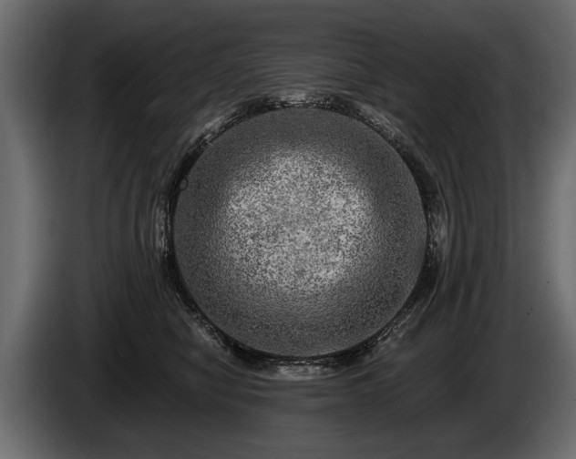 X0000085770470200703231227