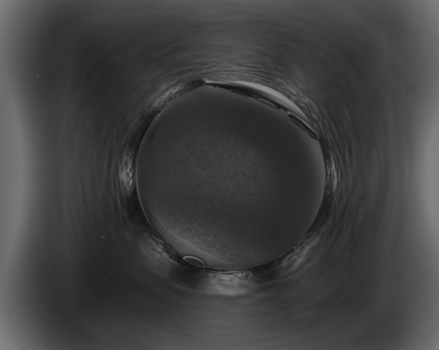 X0000085770479200703231227