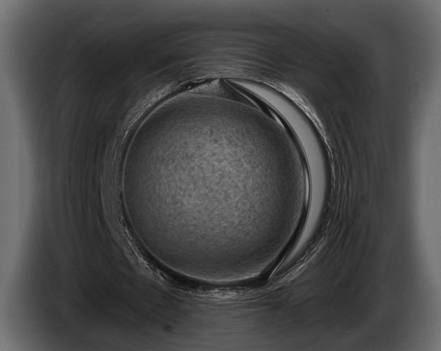 X0000085770481200703231227