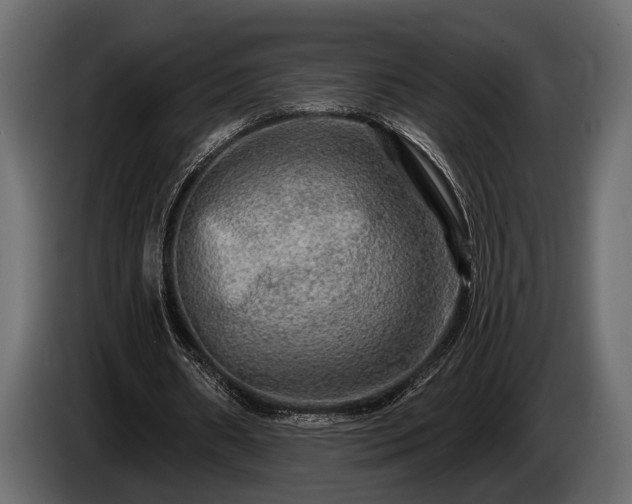 X0000085770482200703231227