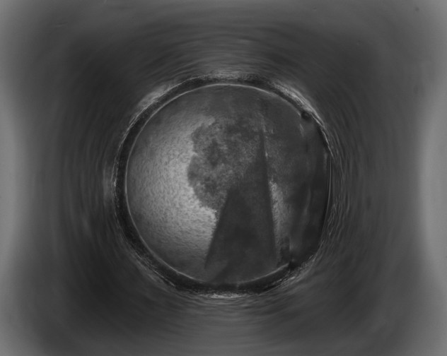 X0000085770483200703231227