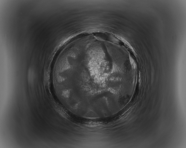 X0000085770487200703231227