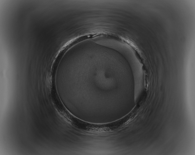 X0000085770488200703231227