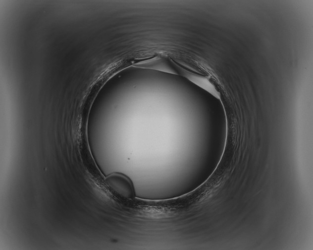 X0000085770490200703231227