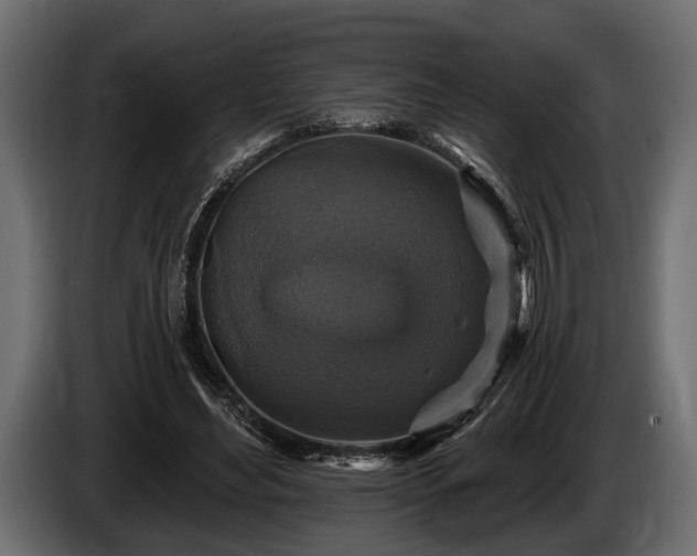 X0000085770492200703231227