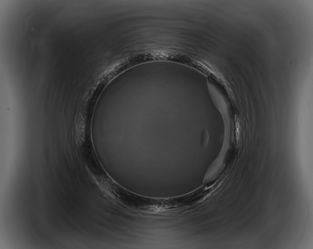 X0000085770496200703231226