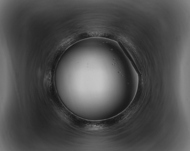 X0000085770498200703231226