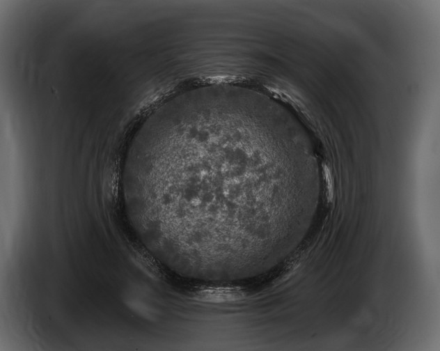 X0000085770499200703231226