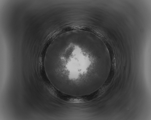 X0000085770506200703231226