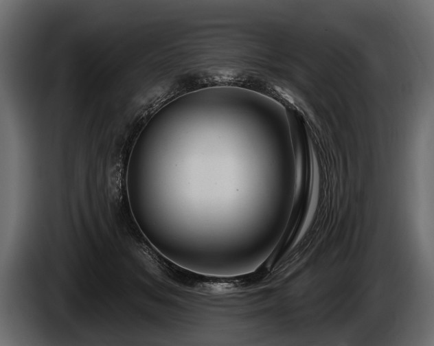 X0000085770509200703231226