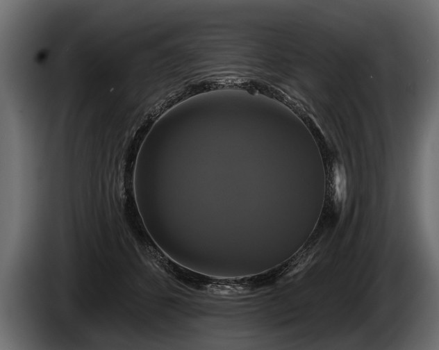 X0000085770512200703231226