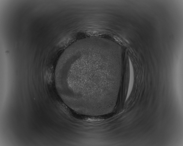 X0000085770515200703231226