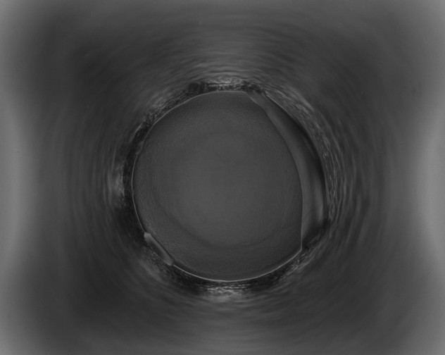 X0000085770516200703231226