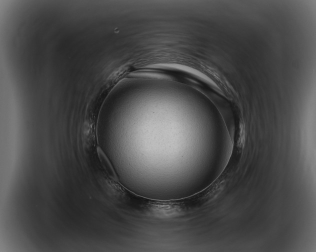 X0000085770521200703231226