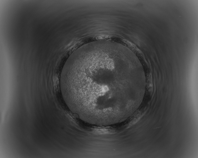 X0000085770523200703231226