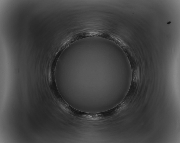 X0000085770524200703231226