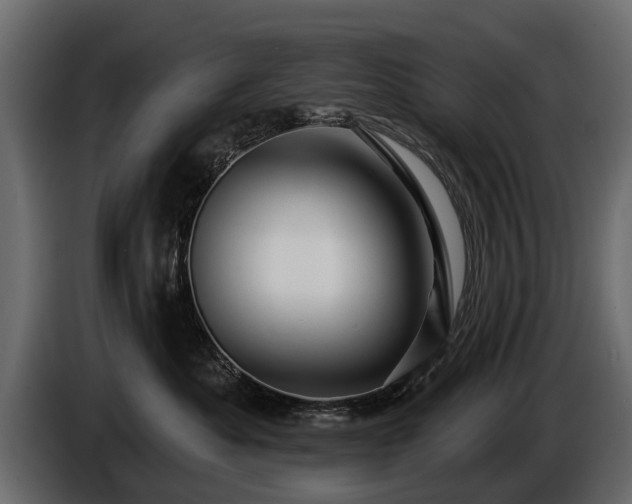 X0000085770525200703231226