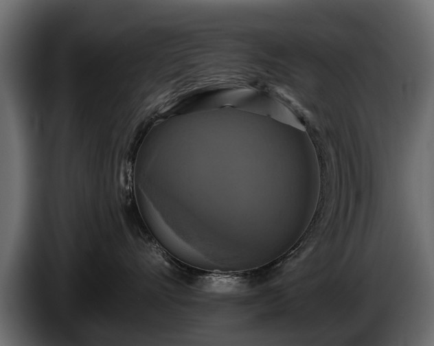 X0000085770528200703231226