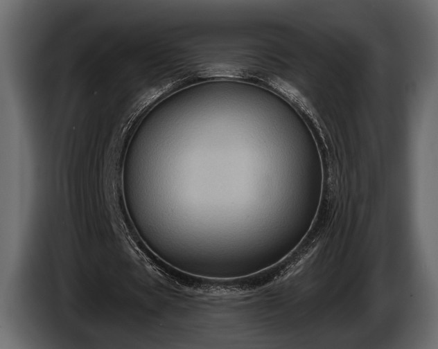 X0000085770529200703231225