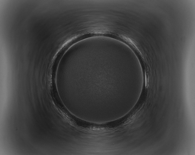 X0000085770531200703231225